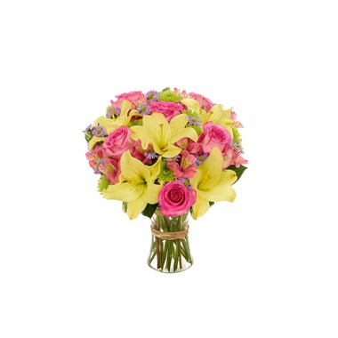 Vibrant Beauty Bouquet (BF515-11K)