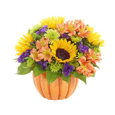 &quot;Harvest Pumpkin&quot; bouquet of flowers for sale